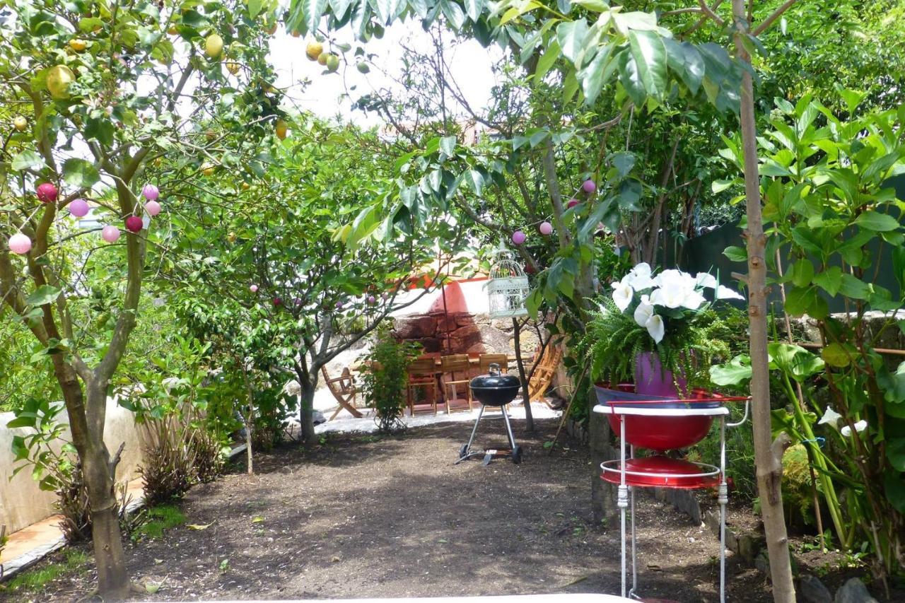 Casa Portugueza Experience Daire Porto Dış mekan fotoğraf