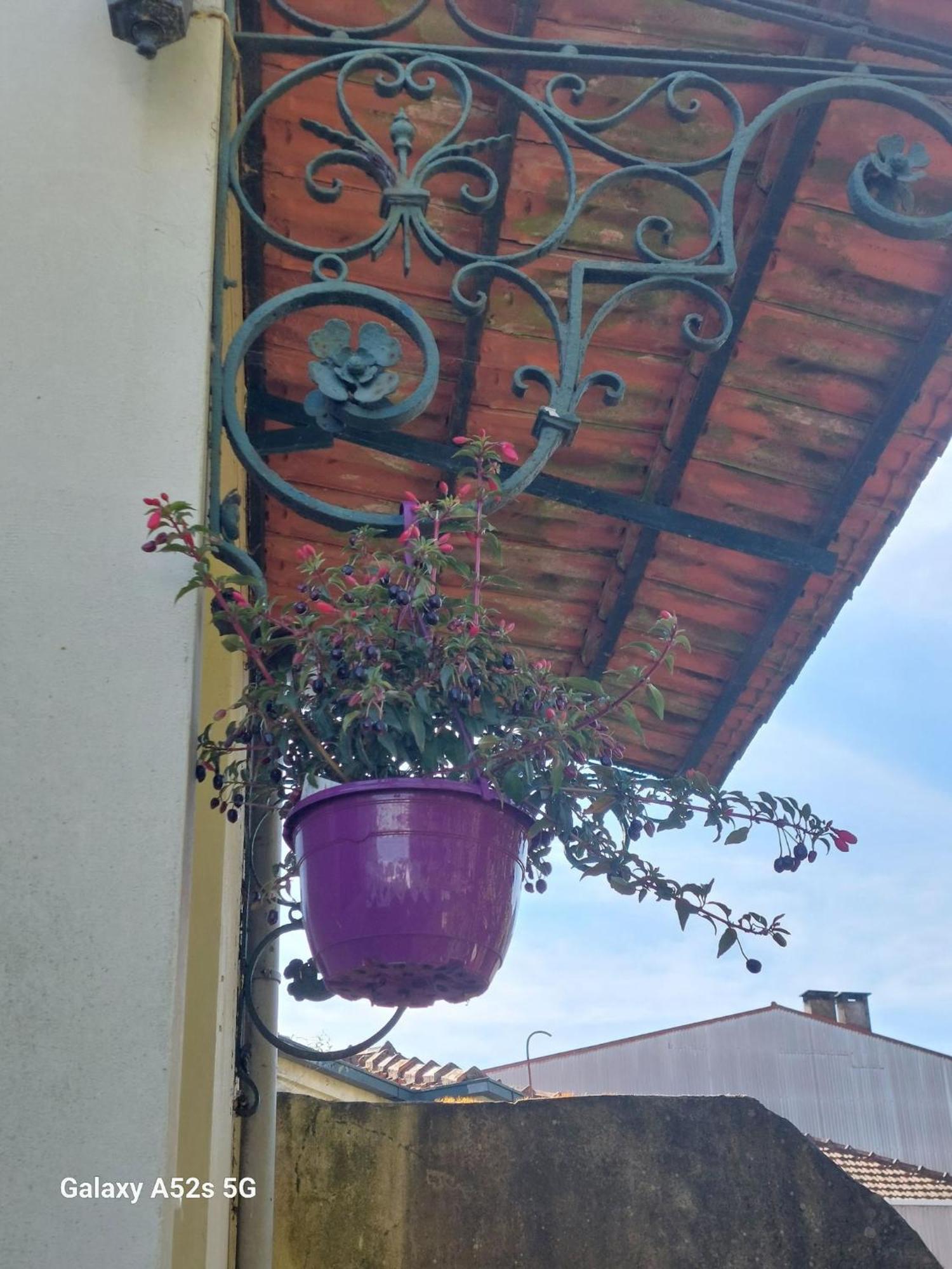 Casa Portugueza Experience Daire Porto Dış mekan fotoğraf