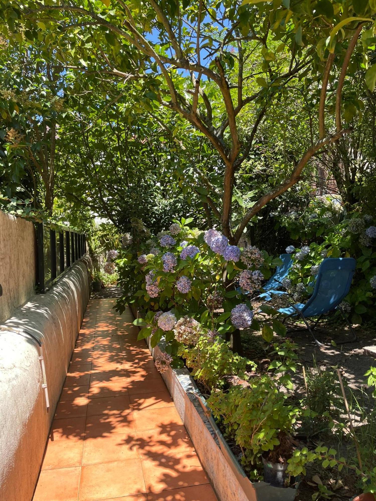 Casa Portugueza Experience Daire Porto Dış mekan fotoğraf